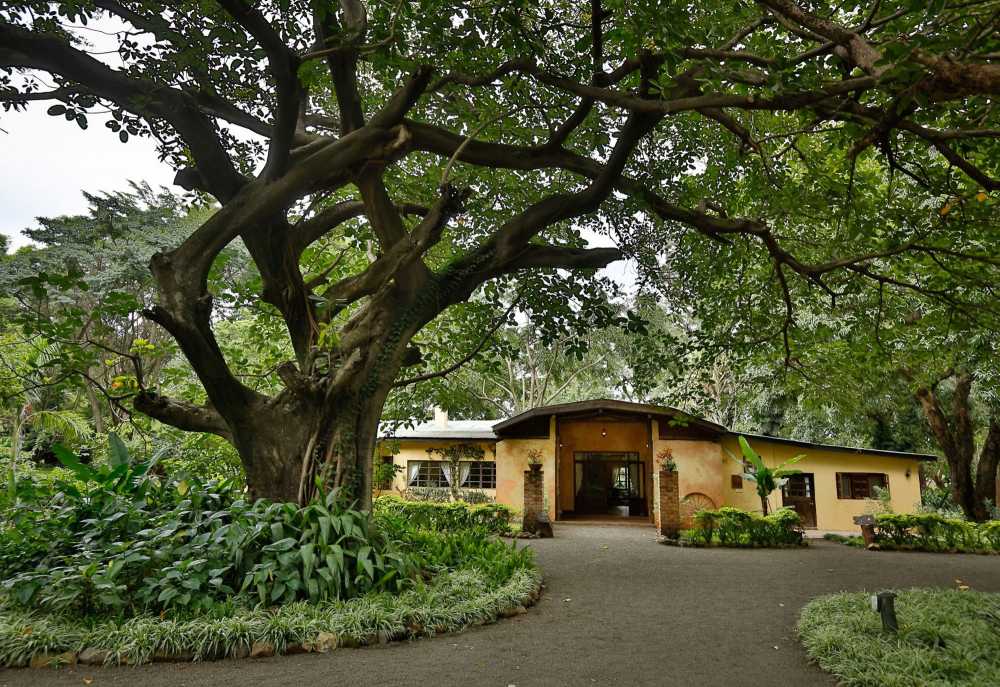 Rivertrees Country Inn