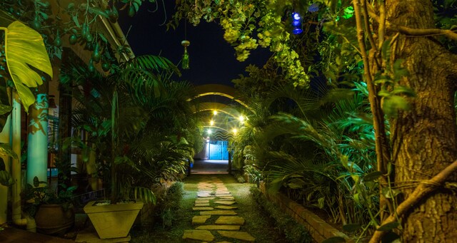Nile Front Cottages