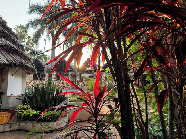 King Fischer’s Resort Bukaya
